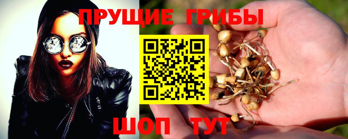 Воронеж  Галлюциногенные грибы Magic Shrooms  купить наркотики цена  Вход с VPN 